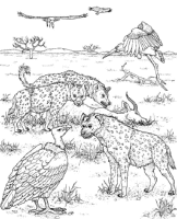 A coloring page of nature in africa